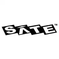 Satellite