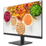 Monitor DS-D5027F2-1P2